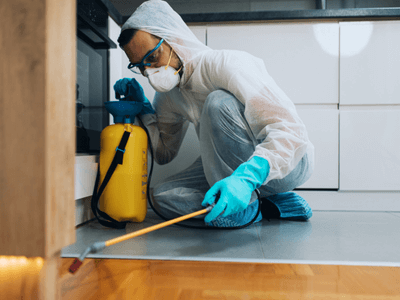 About Swedesboro Pest Control Experts - pest control services experts in Swedesboro