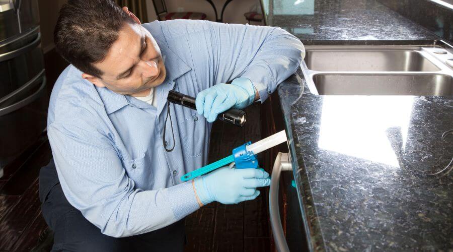 Professional pest control services services in Swedesboro - Swedesboro Pest Control Experts
